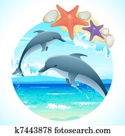 Jumping Dolphins Jumping Dolphins