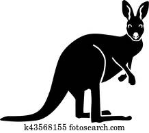 Kangaroo looking Kangaroo looking