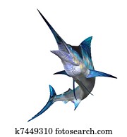 Marlin Marlin