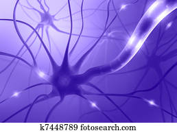 Nerve Cell Axon Nerve Cell Axon