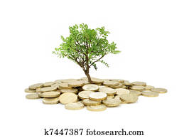 Tree growing from money