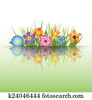 frühjahrsblumen frühjahrsblumen