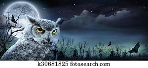 Halloween Scene With Owl Halloween Scene With Owl