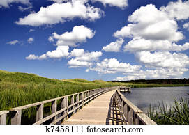 Seaside marsh boardwalk Seaside marsh boardwalk