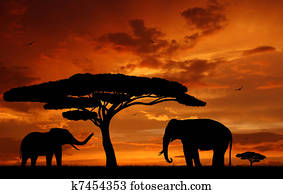 two elephants two elephants