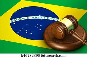 ברזיל, חוק, מערכת חוקית, מושג
