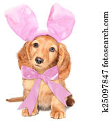 Easter bunny Easter bunny