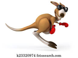 Fun kangaroo Fun kangaroo