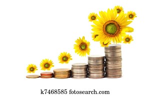 Increase your savings