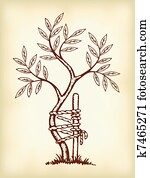 ה, סמל, של, ורטופאדיכס, ו, traumatology.