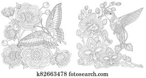 לצבוע, עמודים, עם, פרפר, ו, האמינגבירד