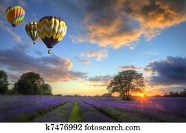Hot air balloons flying over lavender landscape sunset