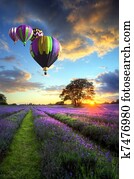 Hot air balloons flying over lavender landscape sunset