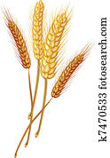 Wheat Wheat