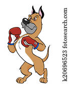 cachorro pugilista