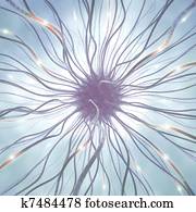 Nerve Cell Pulse Nerve Cell Pulse