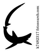 Shark Shark