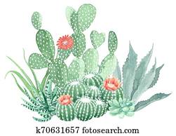 Watercolor Cactus and Succulents Watercolor Cactus and Succulents