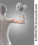 Workout Workout