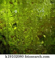 Green with Envy Green with Envy