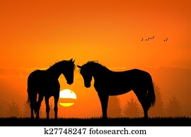 horses silhouette in love horses silhouette in love