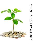 Money concept Money concept