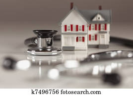 Stethoscope with Small Model Home