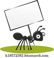 ants ants