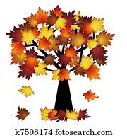 Colorful Fall Leaves on Tree Colorful Fall Leaves on Tree