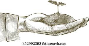 Hand Plant Sprout Sketch Illustration Hand Plant Sprout Sketch Illustration