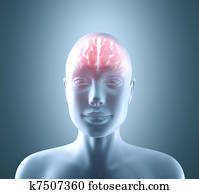 Hot Brain Hot Brain