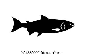 Salmon fish illustration silhouette Salmon fish illustration silhouette