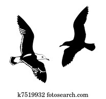  silhouettes flying birds on white 