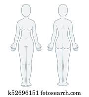 גוף נקבה, חזית, ו, השקע