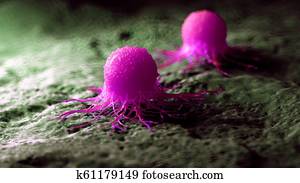 a cancer cell a cancer cell