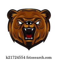Bear Bear