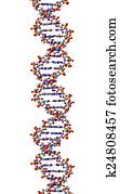 DNA molecule. 3D Illustration DNA molecule. 3D Illustration
