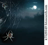 Party spiders in Halloween night Party spiders in Halloween night
