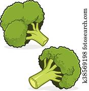 Broccoli Broccoli