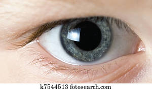 Eye Eye