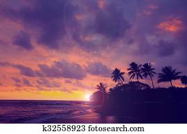 Hawaii Hawaii