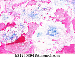 Jaspeado Banco de Fotos e Imágenes 229.751 jaspeado imágenes y