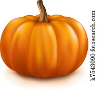 kürbis kürbis