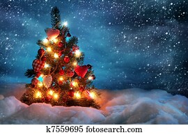 Christmas tree Christmas tree