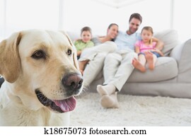 Happy family sitting on couch with their pet labrador in foreground at home in the living room