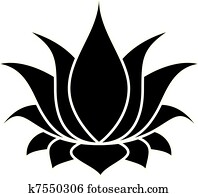 Lotus Set 004 Lotus Set 004