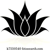 Lotus Set Lotus Set