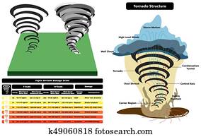 tornado, struktur, Infographic, querschnitt, diagramm tornado, struktur, Infographic, querschnitt, diagramm