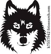 wolf, gesicht wolf, gesicht
