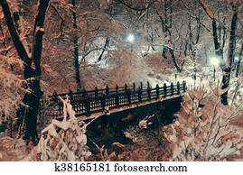 Central Park winter Central Park winter
